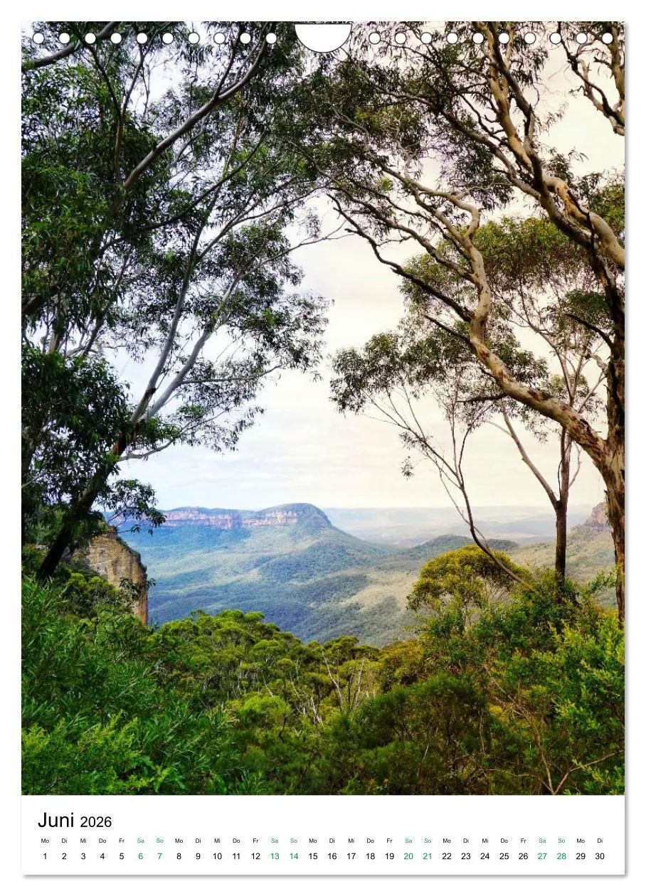 Bild: 9783516399615 | Regenwald - Australien (Wandkalender 2026 DIN A4 hoch), CALVENDO...