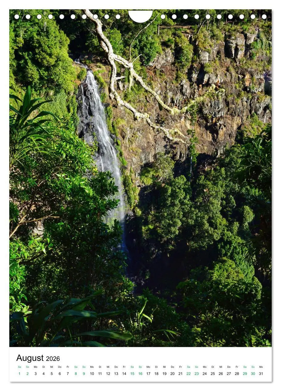Bild: 9783516399615 | Regenwald - Australien (Wandkalender 2026 DIN A4 hoch), CALVENDO...