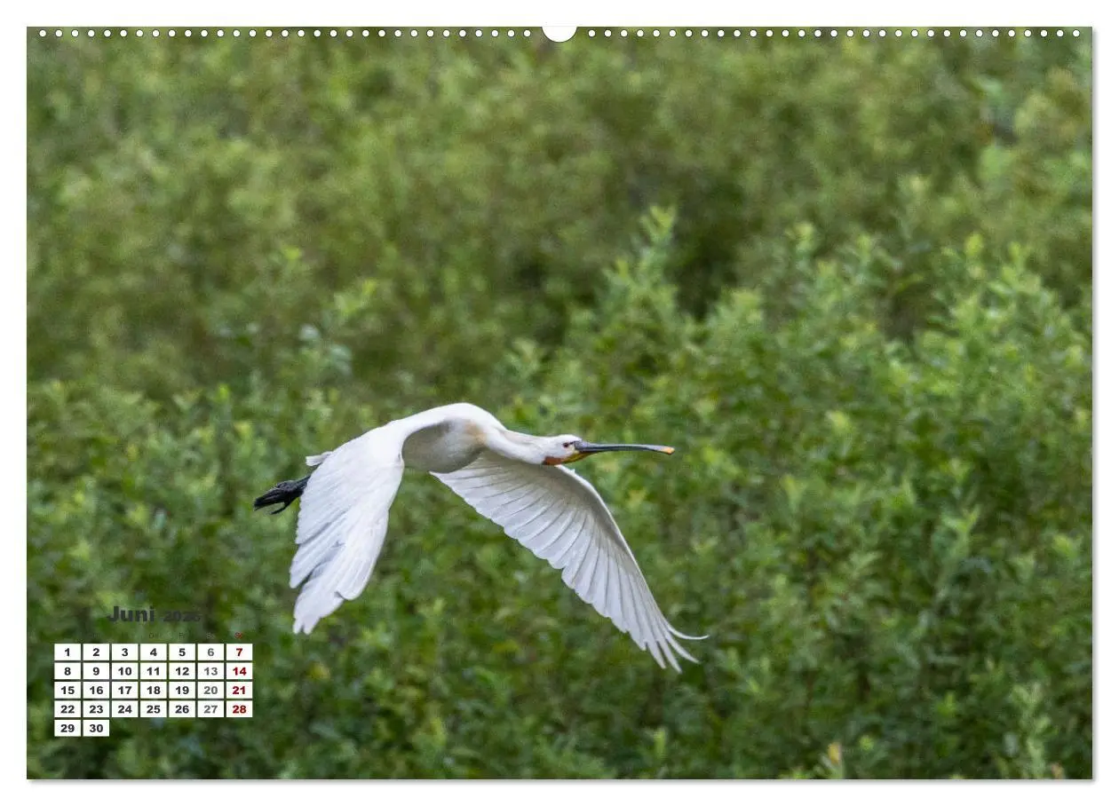Bild: 9783457509715 | Kroatien - Entlang der Save (hochwertiger Premium Wandkalender 2026...