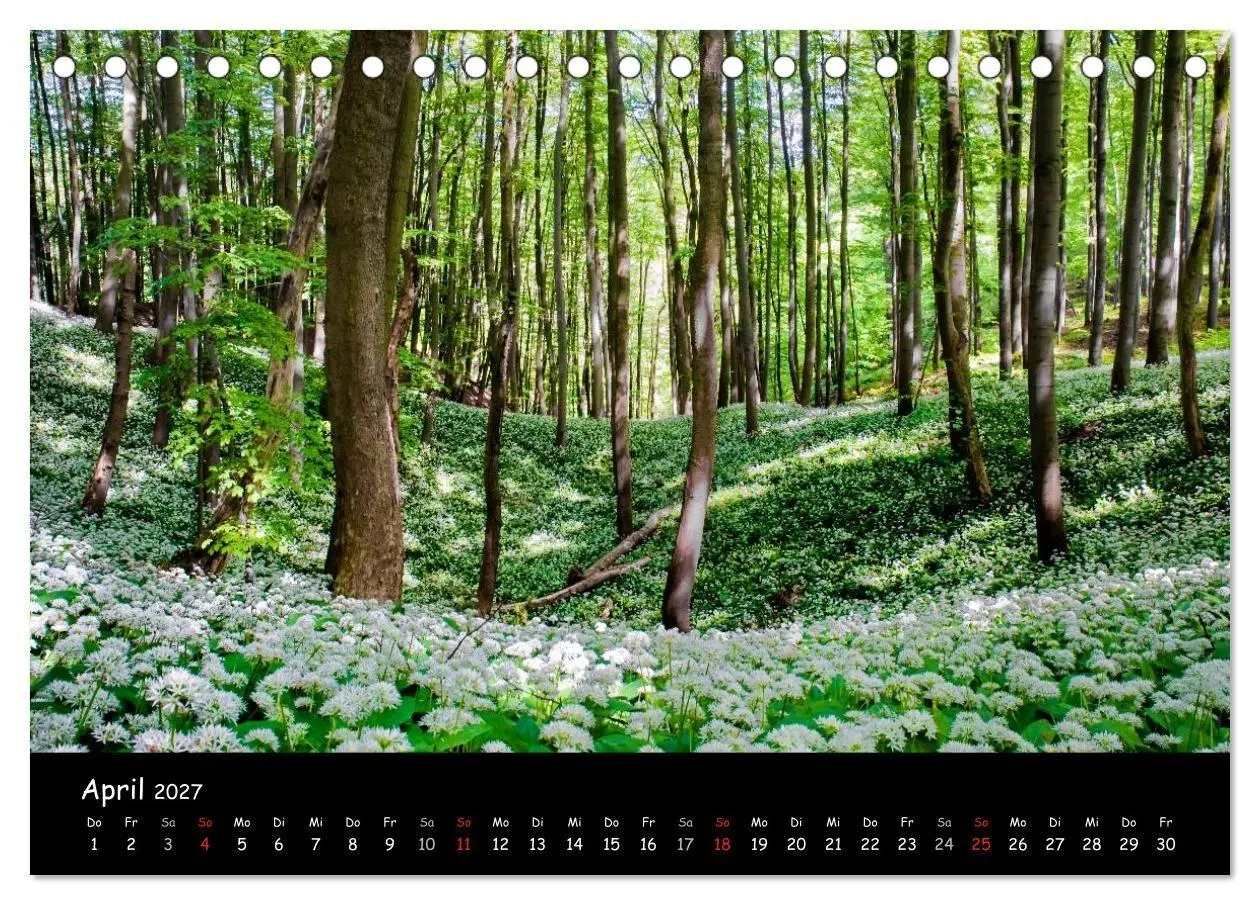 Bild: 9783594049815 | Faszination Harz 2027 (Tischkalender 2027 DIN A5 quer), CALVENDO...