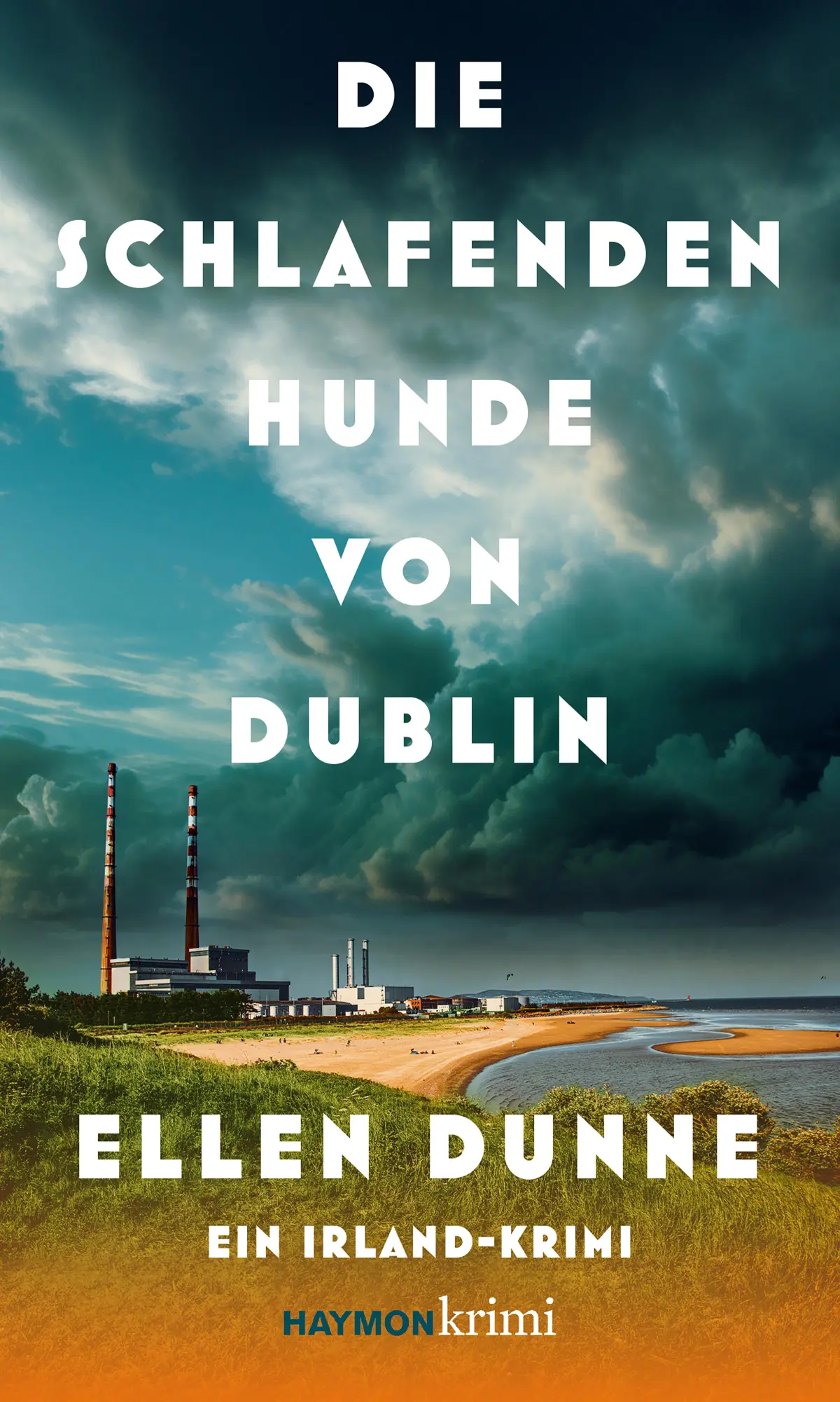 Cover: 9783709979815 | Die schlafenden Hunde von Dublin | Ein Irland-Krimi | Ellen Dunne