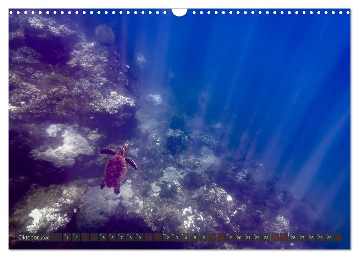 Bild: 9783457279915 | Tropenparadies zwischen Ozeanen Costa Rica (Wandkalender 2026 DIN...