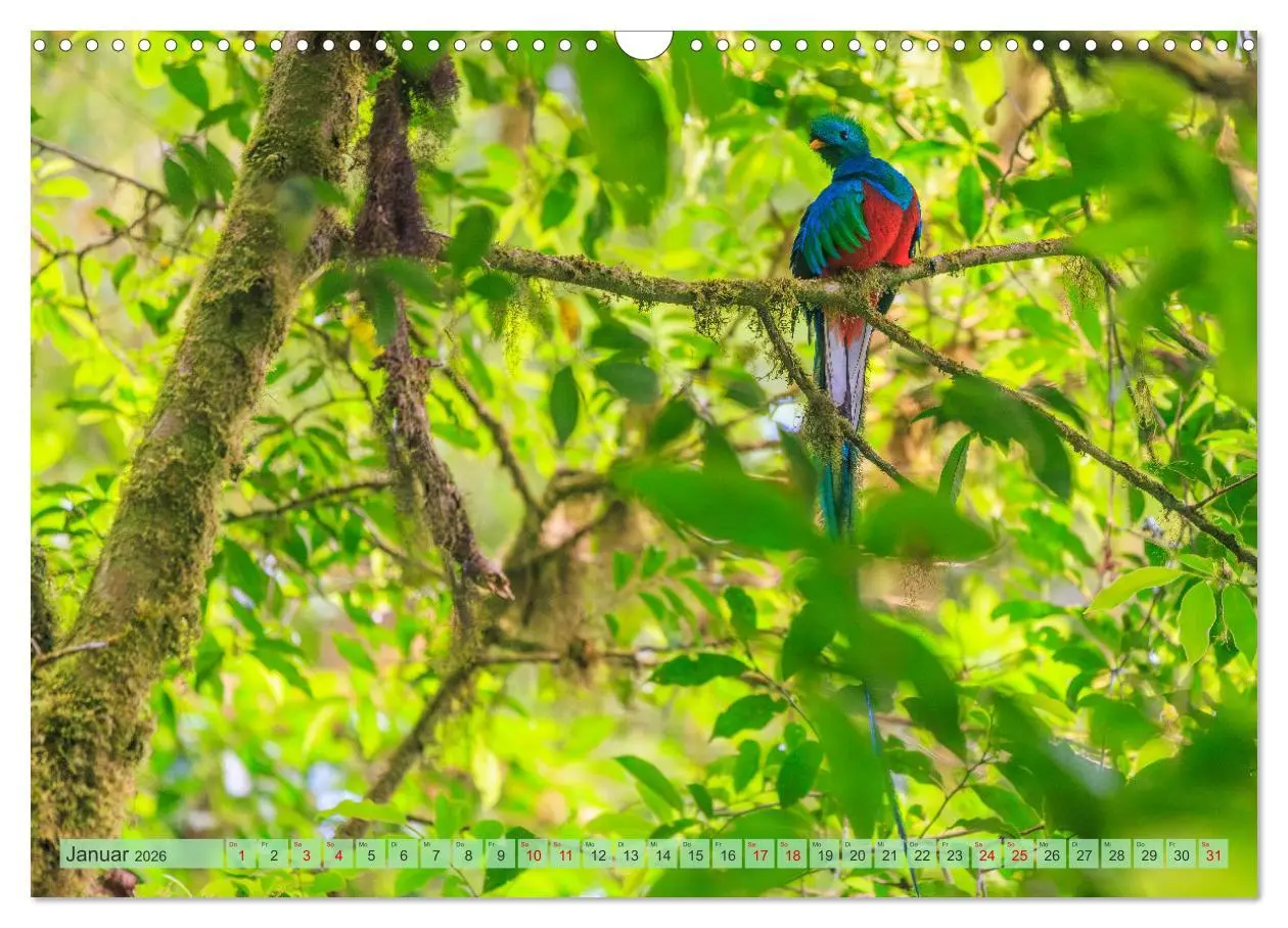 Bild: 9783457279915 | Tropenparadies zwischen Ozeanen Costa Rica (Wandkalender 2026 DIN...