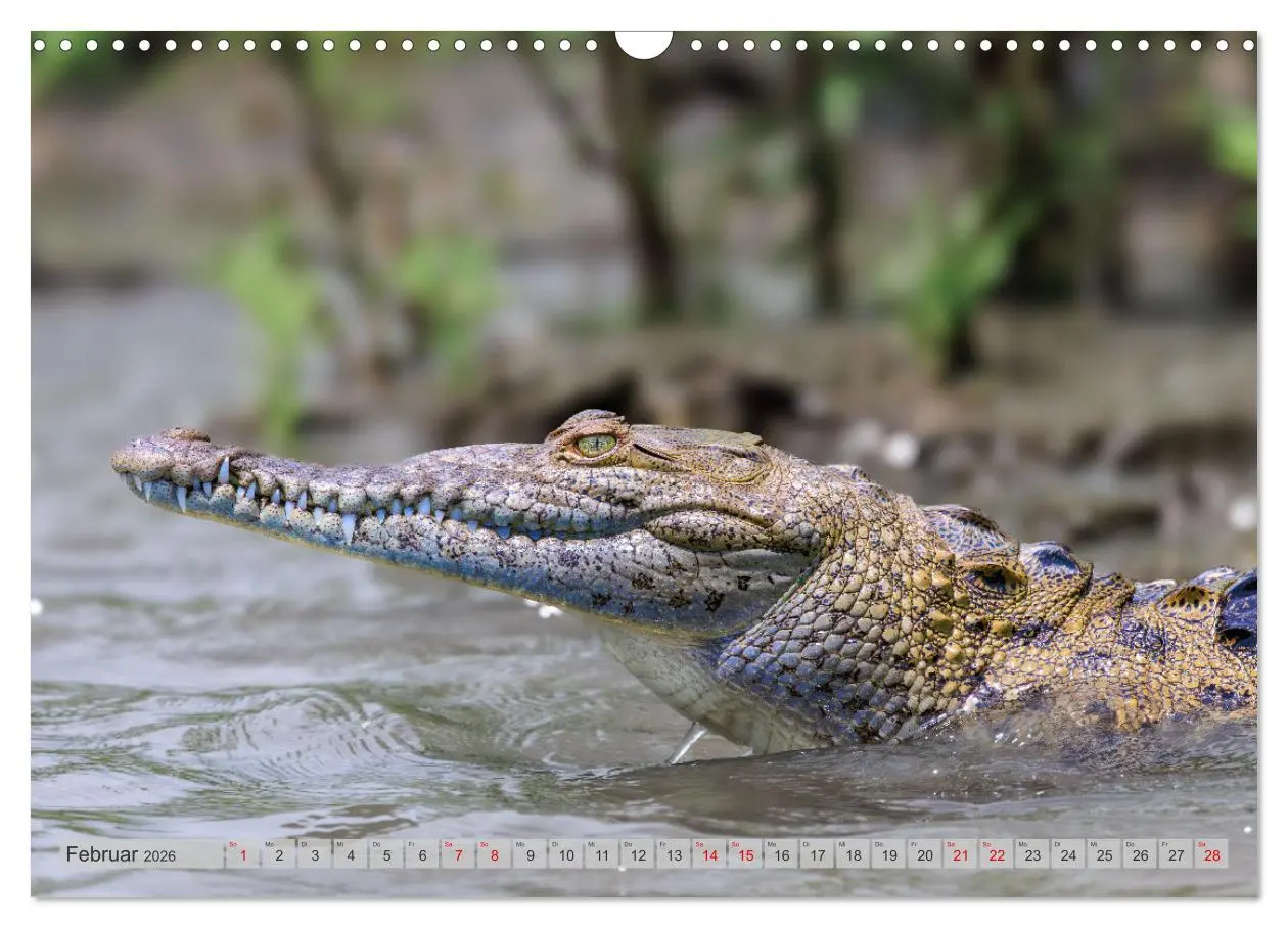 Bild: 9783457279915 | Tropenparadies zwischen Ozeanen Costa Rica (Wandkalender 2026 DIN...