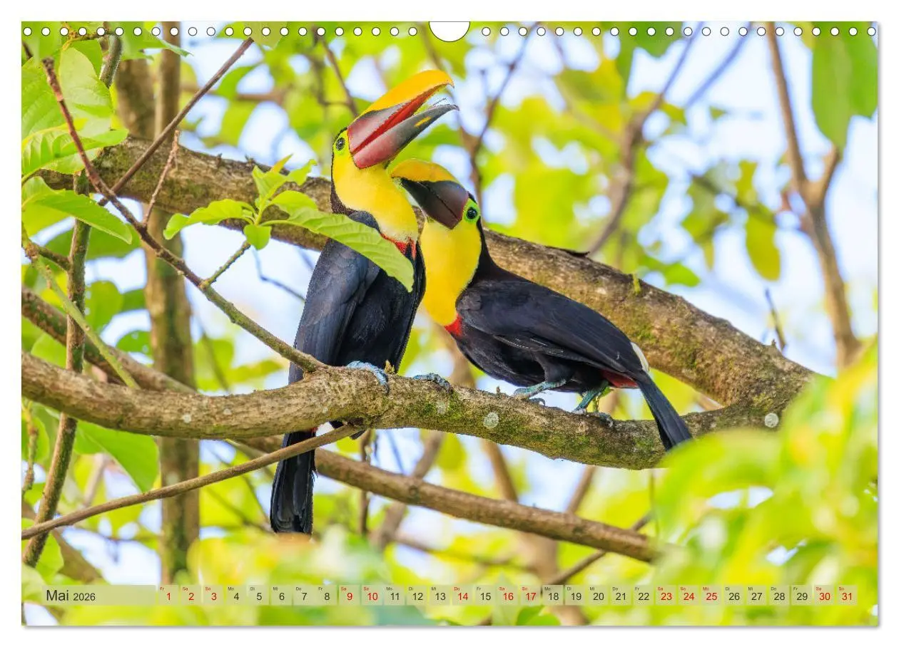 Bild: 9783457279915 | Tropenparadies zwischen Ozeanen Costa Rica (Wandkalender 2026 DIN...