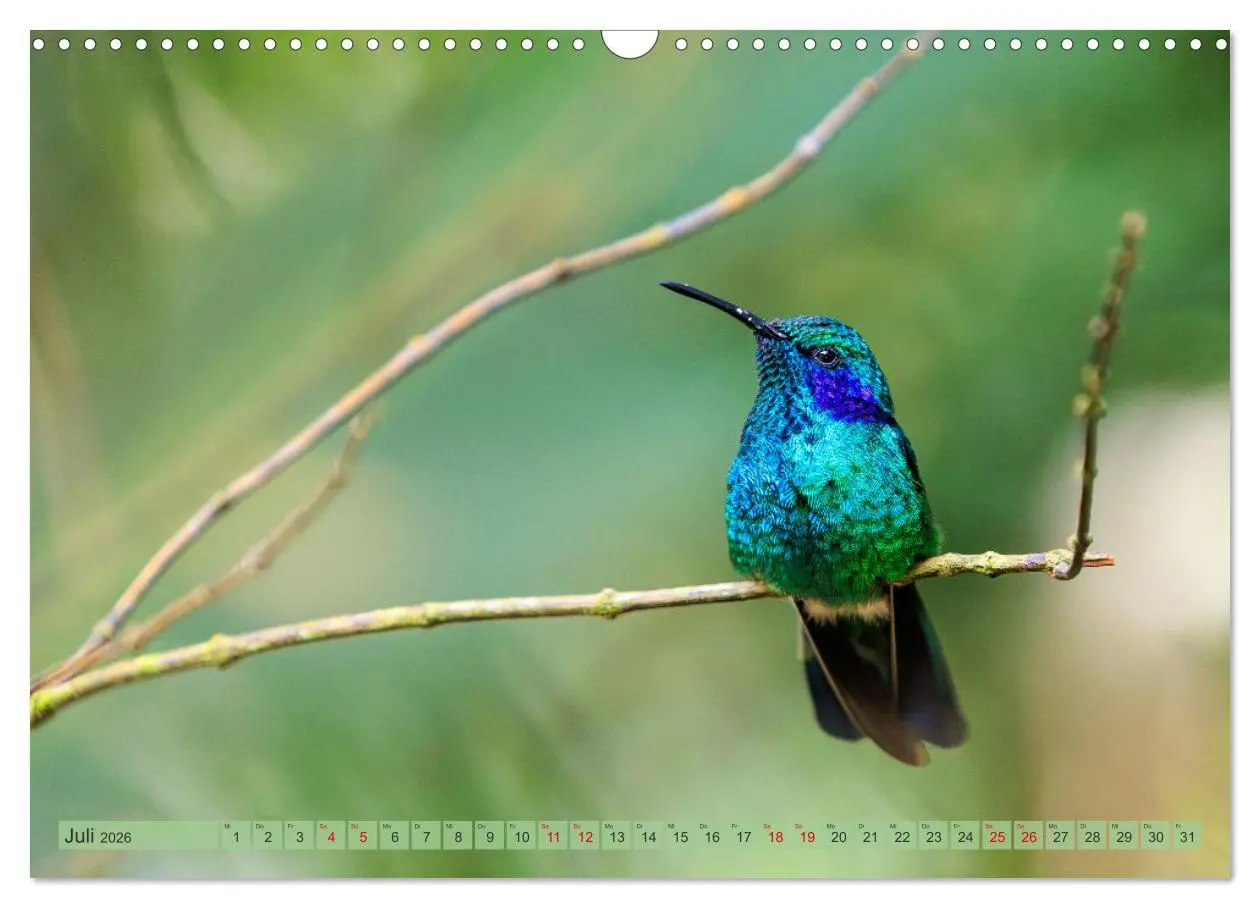 Bild: 9783457279915 | Tropenparadies zwischen Ozeanen Costa Rica (Wandkalender 2026 DIN...