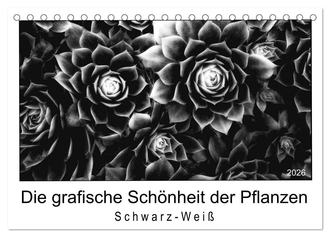 Cover: 9783457899915 | Die grafische Schönheit der Pflanzen - Schwarz-Weiß (Tischkalender...