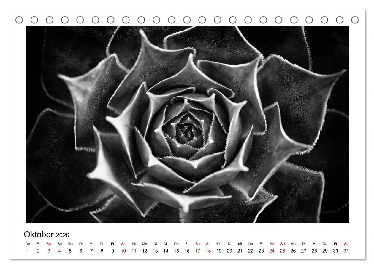 Bild: 9783457899915 | Die grafische Schönheit der Pflanzen - Schwarz-Weiß (Tischkalender...
