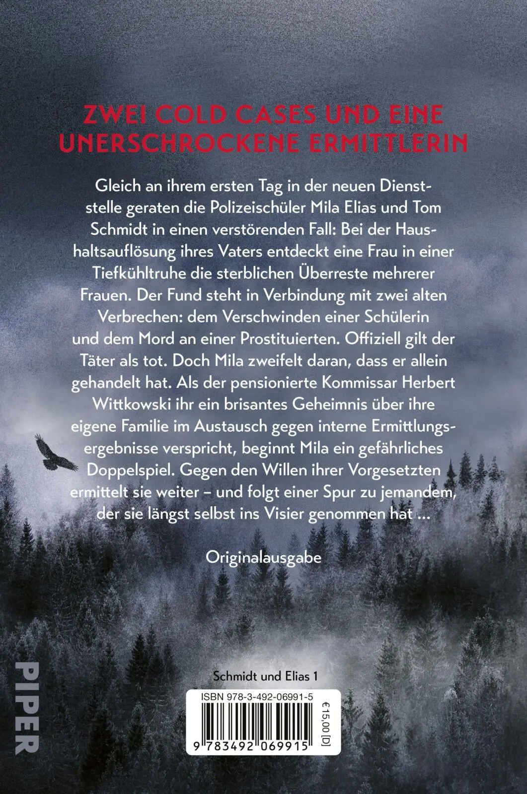 Rückseite: 9783492069915 | Finsterland | Thomas Durchschlag | Taschenbuch | 496 S. | Deutsch
