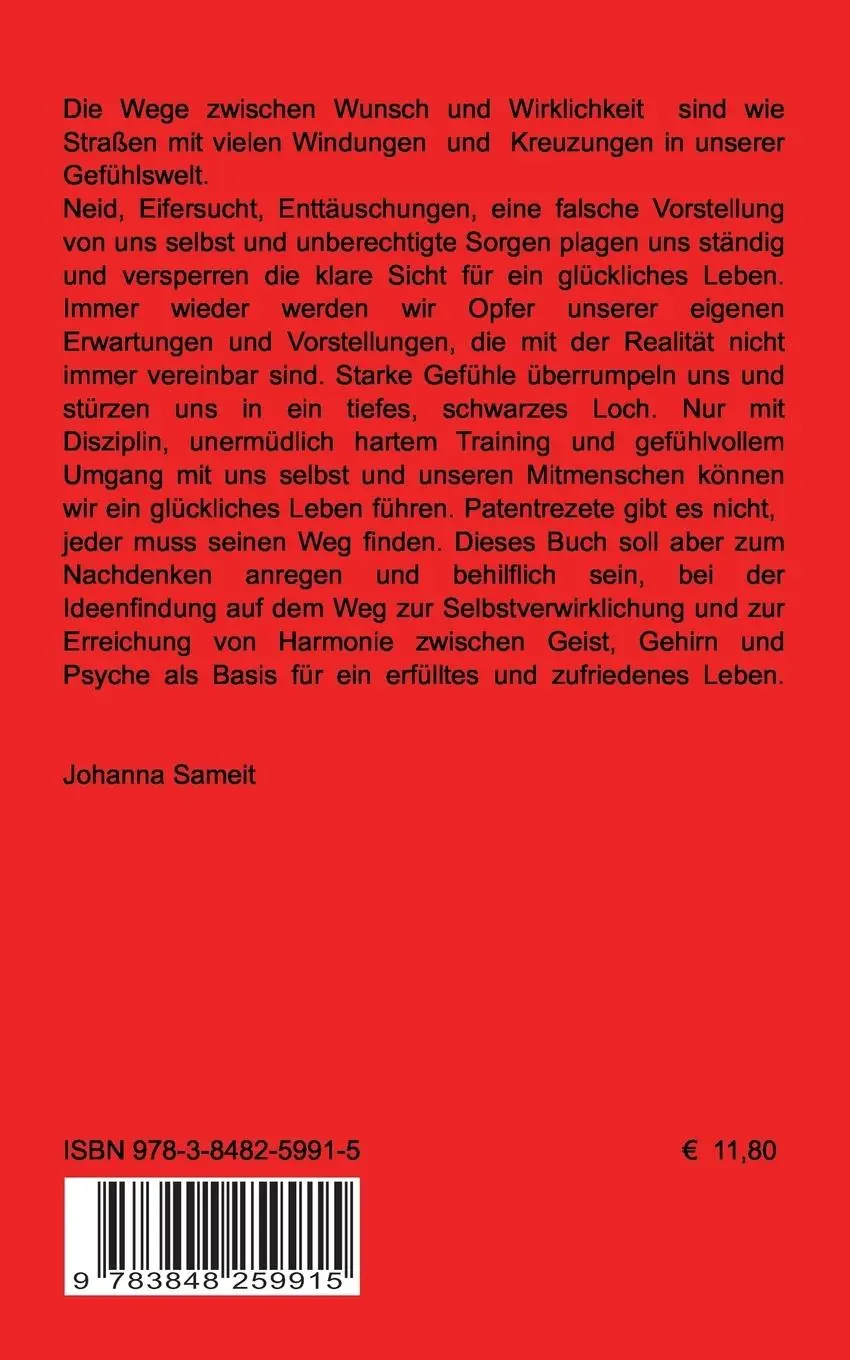 Rückseite: 9783848259915 | Immer wieder schwarze Löcher | Wege zwischen Wunsch und Wirklichkeit
