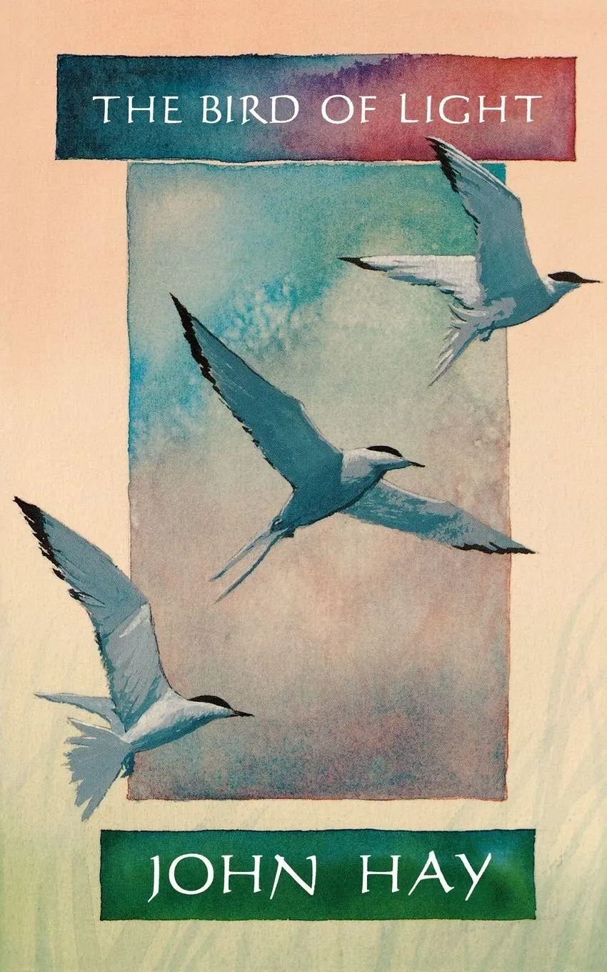 Cover: 9780393310016 | The Bird of Light | John Hay | Taschenbuch | Englisch | 2012