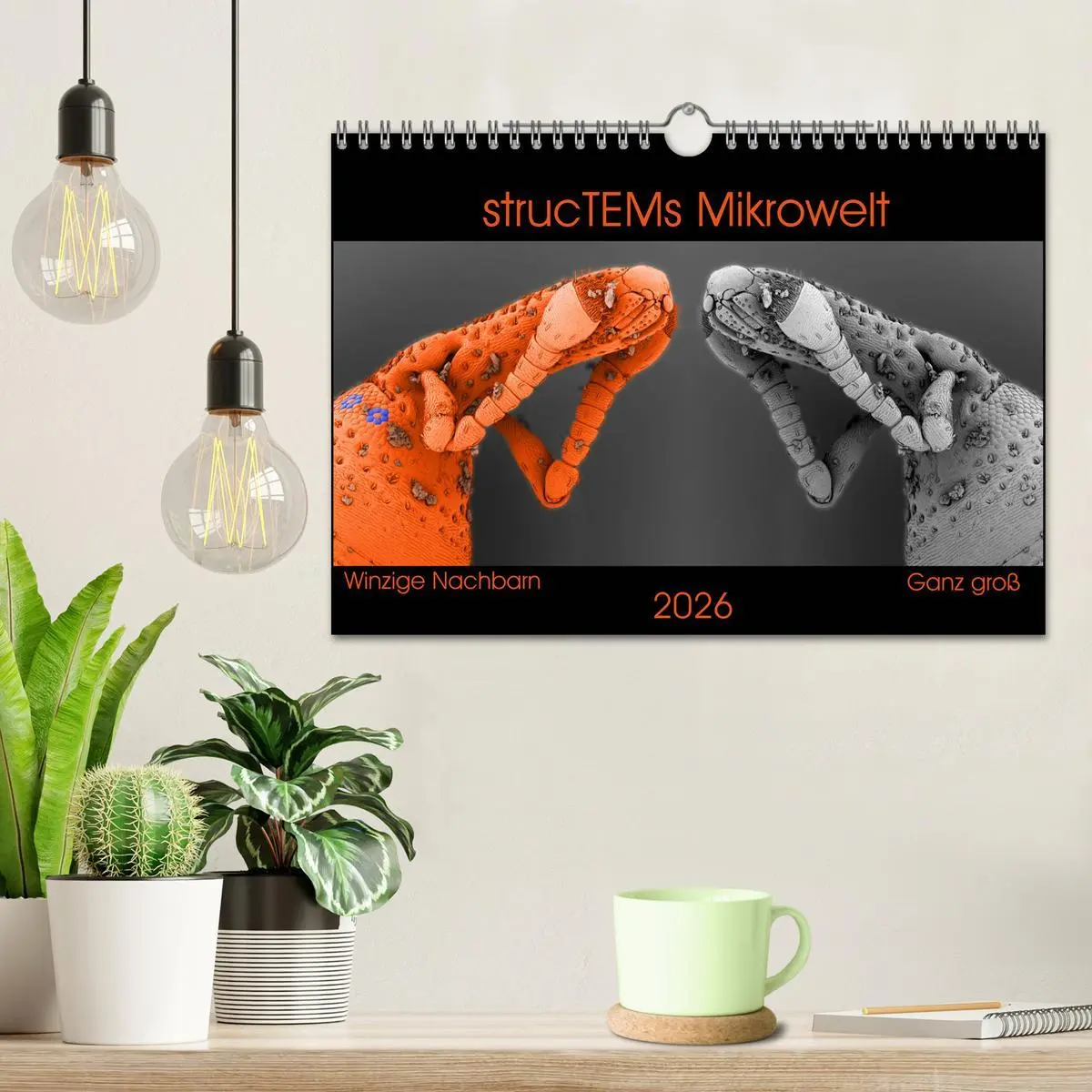 Bild: 9783457840016 | strucTEMs Mikrowelt - Winzige Nachbarn ganz groß (Wandkalender 2026...