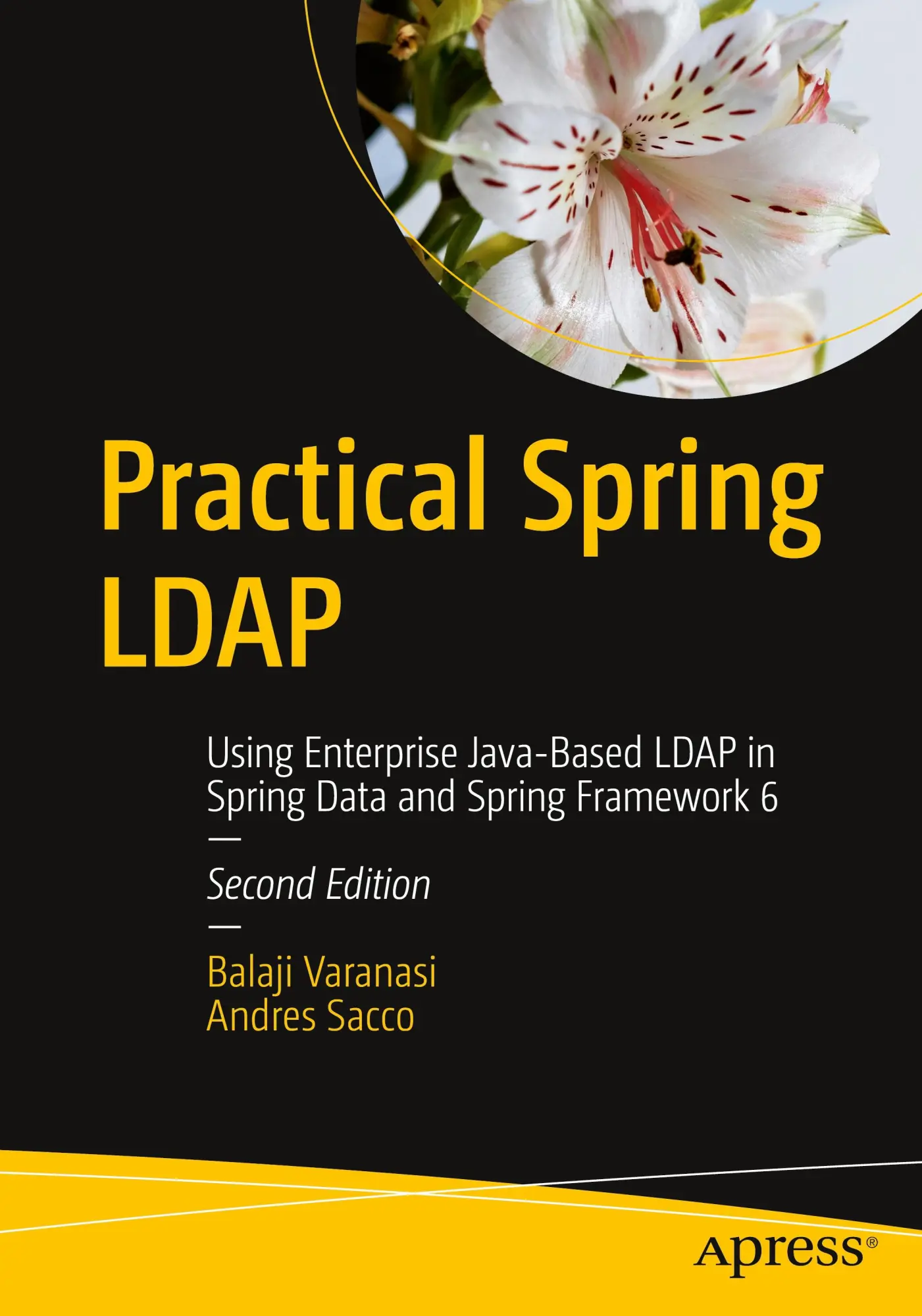 Cover: 9798868800016 | Practical Spring LDAP | Andres Sacco (u. a.) | Taschenbuch | xx | 2023