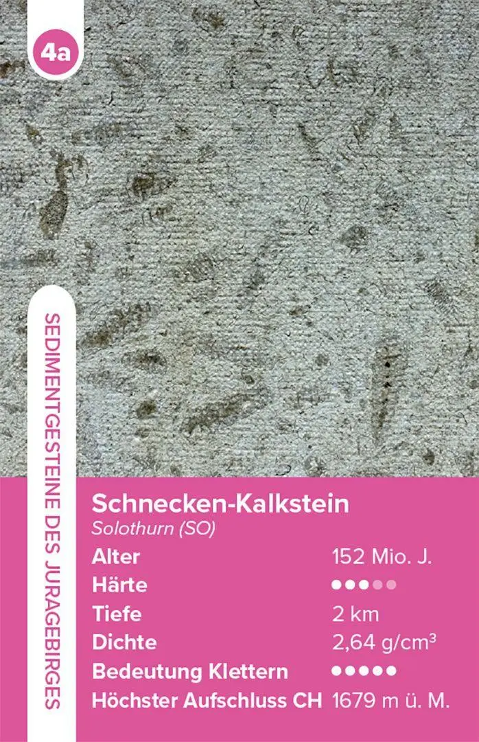 Bild: 4262494720116 | Gesteine - das Quartett-Spiel | mit 32 Gesteinsarten | Jürg Meyer