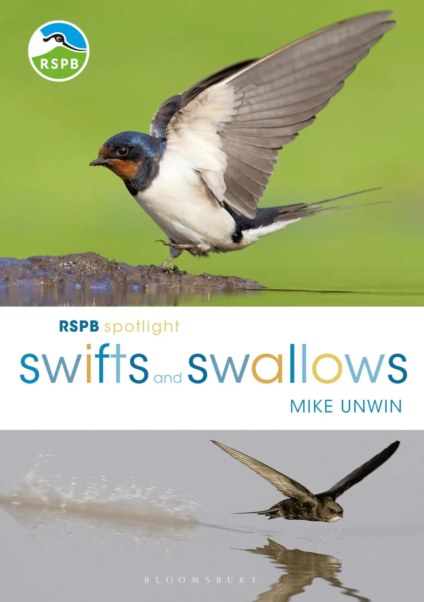 Cover: 9781472950116 | RSPB Spotlight Swifts and Swallows | Mike Unwin | Taschenbuch | 2018