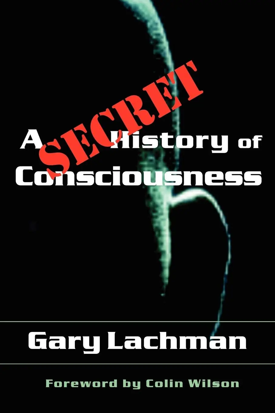 Cover: 9781584200116 | A Secret History of Consciousness | Gary Lachman | Taschenbuch | 2003