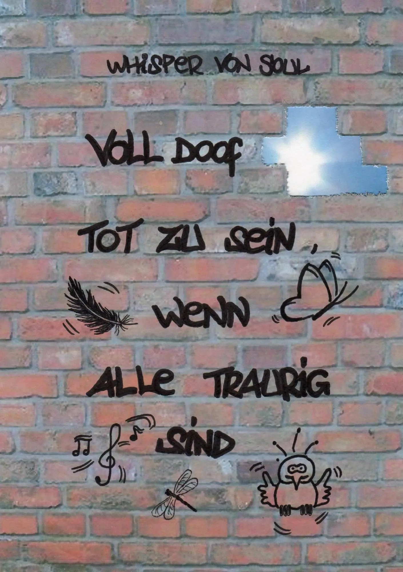 Cover: 9783732290116 | Voll doof tot zu sein, wenn alle traurig sind | Whisper von Soul