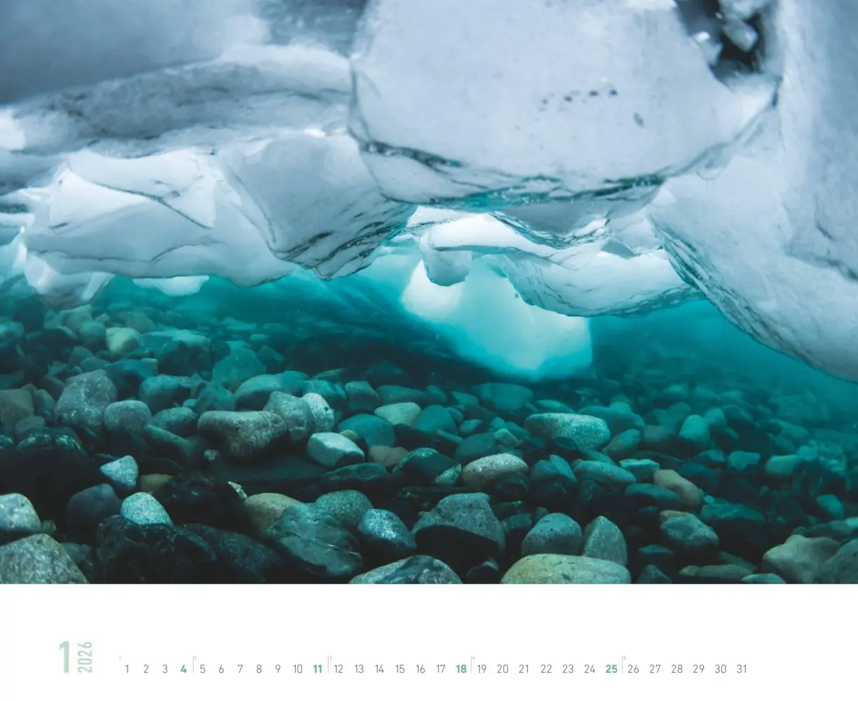 Bild: 4069095000216 | Alpha Edition - Farbenspiel der Natur 2026 - Wandkalender 52×42,5...