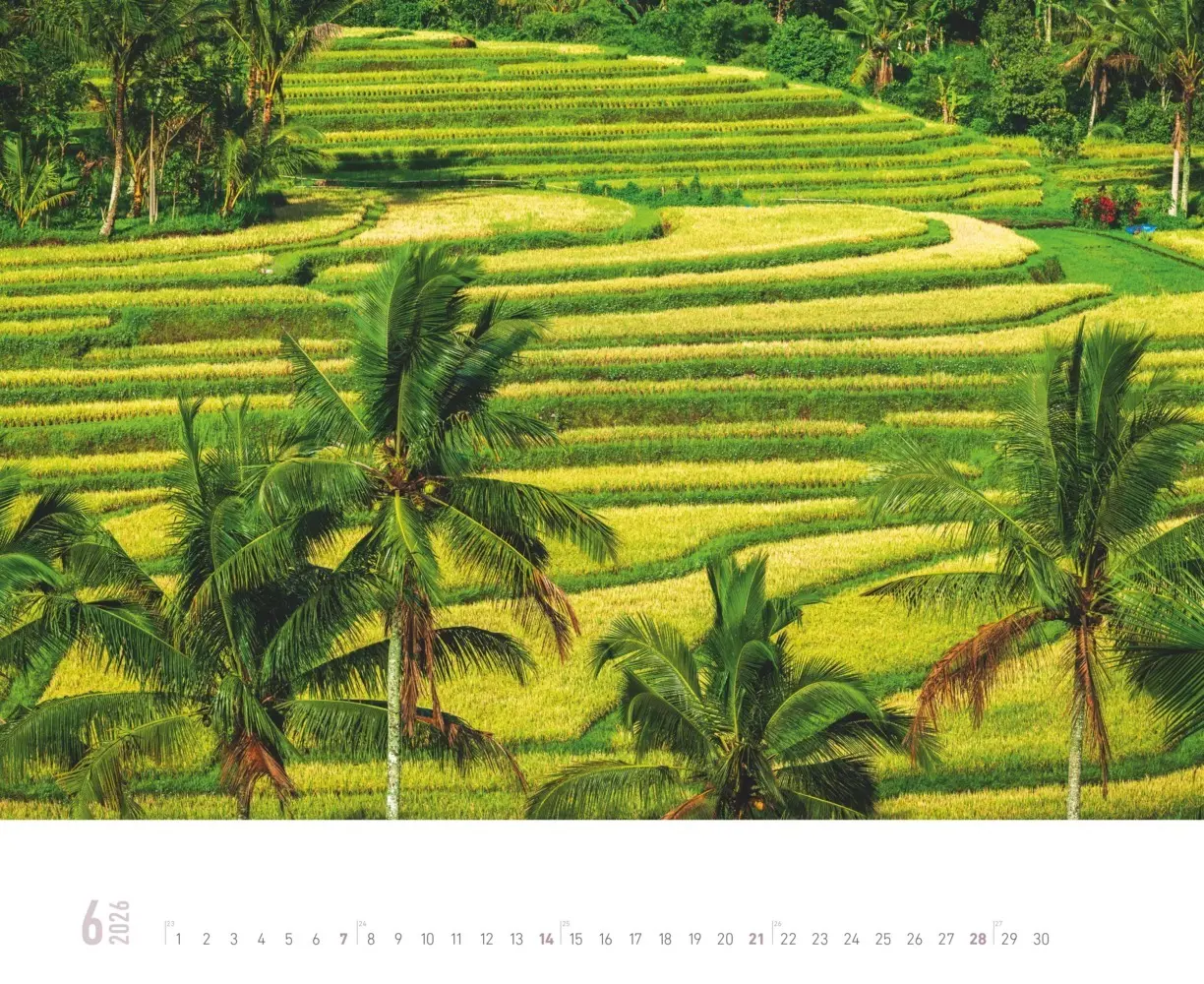 Bild: 4069095000216 | Alpha Edition - Farbenspiel der Natur 2026 - Wandkalender 52×42,5...