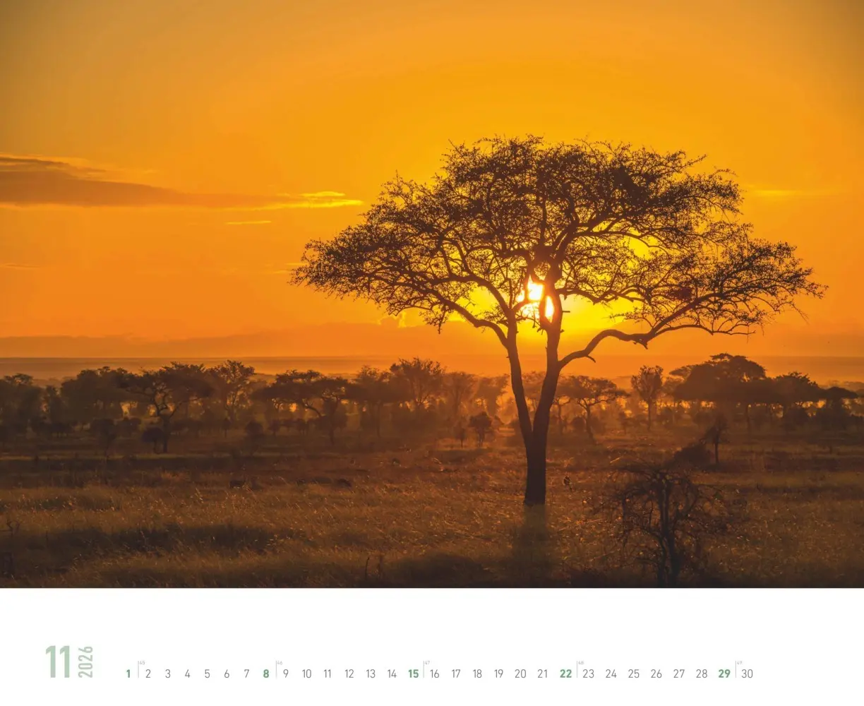 Bild: 4069095000216 | Alpha Edition - Farbenspiel der Natur 2026 - Wandkalender 52×42,5...