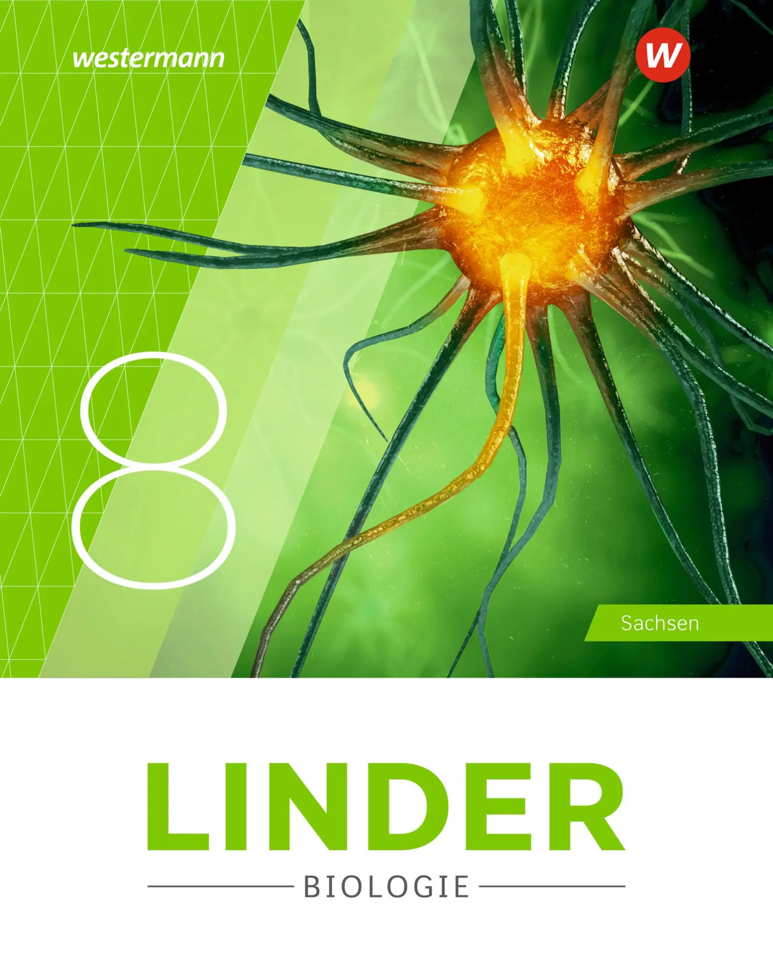 Cover: 9783141530216 | LINDER Biologie SI 8. Schulbuch. Sachsen | Buch | 144 S. | Deutsch