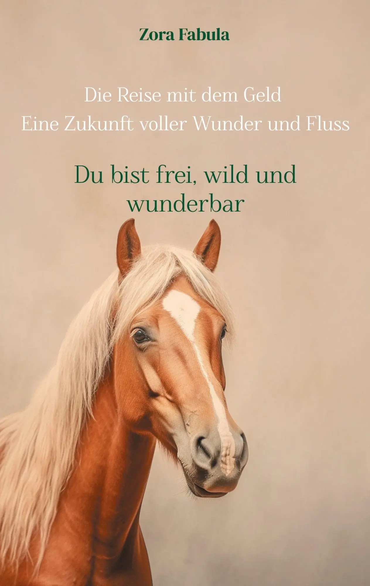 Cover: 9783695730216 | Die Reise mit dem Geld Eine Zukunft voller Wunder und Fluss | Fabula