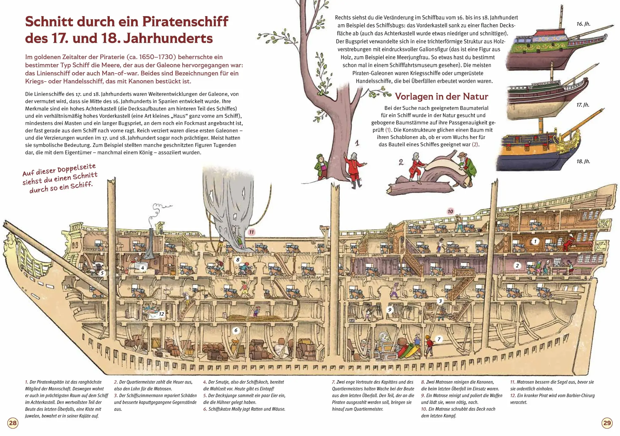 Bild: 9783989620216 | Piraten | Thilo Krapp | Buch | 64 S. | Deutsch | 2026