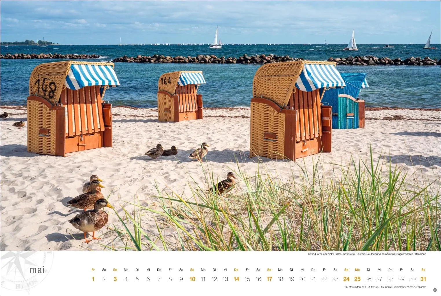 Bild: 9783756410316 | Ostsee Globetrotter Kalender 2026 - Von behaglichen Strandkörben...