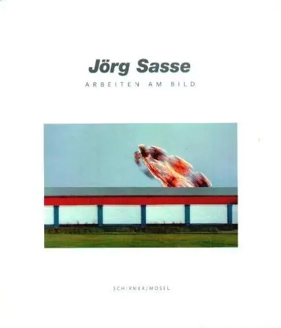 Cover: 9783829600316 | Arbeiten am Bild | Jörg Sasse | Buch | 144 S. | Deutsch | 2001