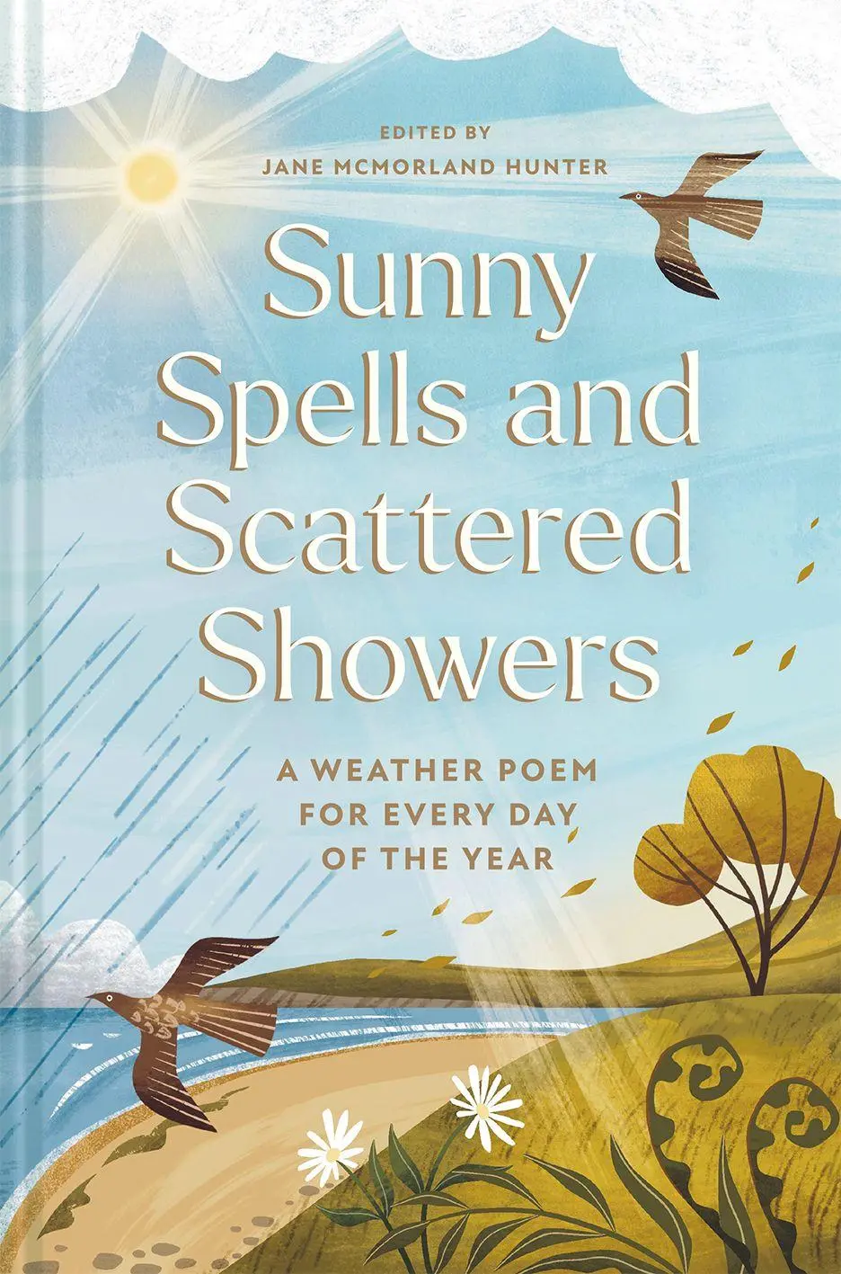 Cover: 9781837330416 | Sunny Spells and Scattered Showers | Jane McMorland Hunter | Buch