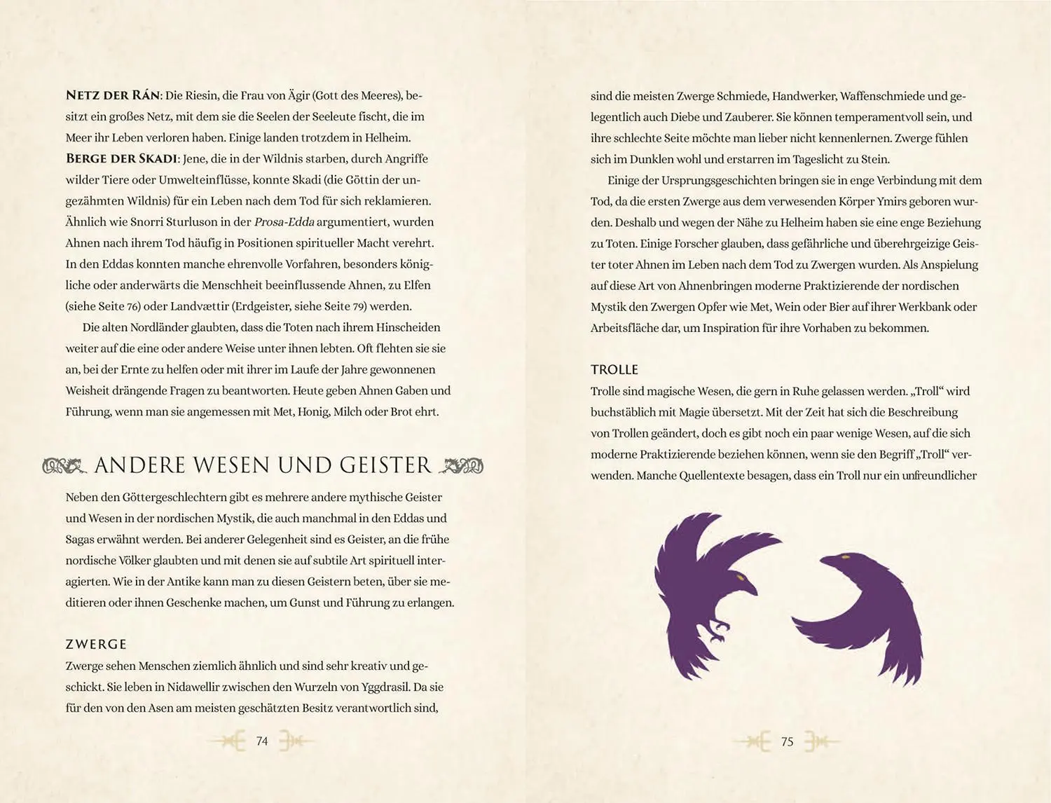 Bild: 9789464990416 | Nordische Mystik | Disa Forvitin | Buch | 144 S. | Deutsch | 2025