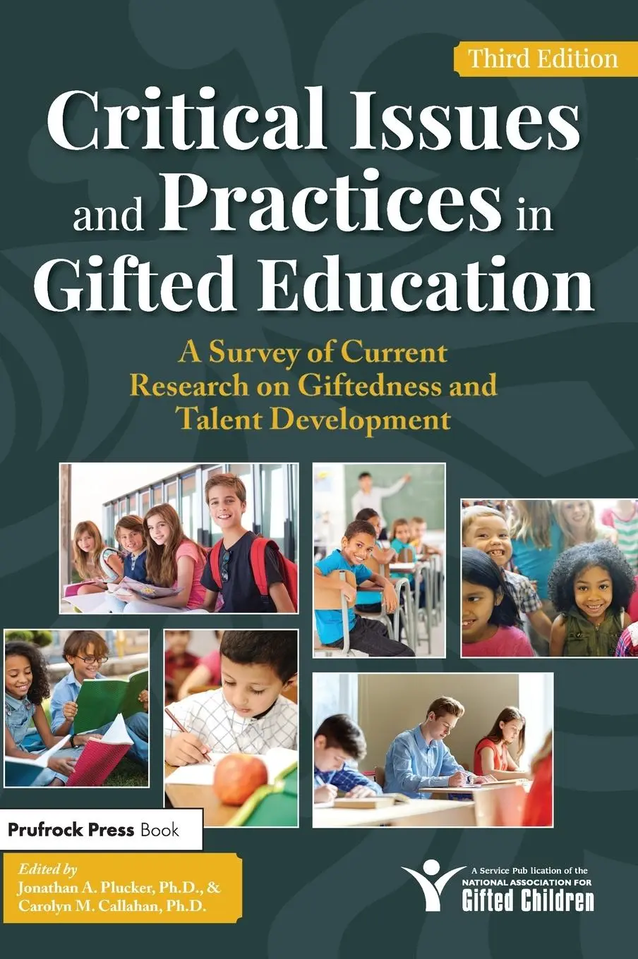 Cover: 9781646320516 | Critical Issues and Practices in Gifted Education | Plucker (u. a.)