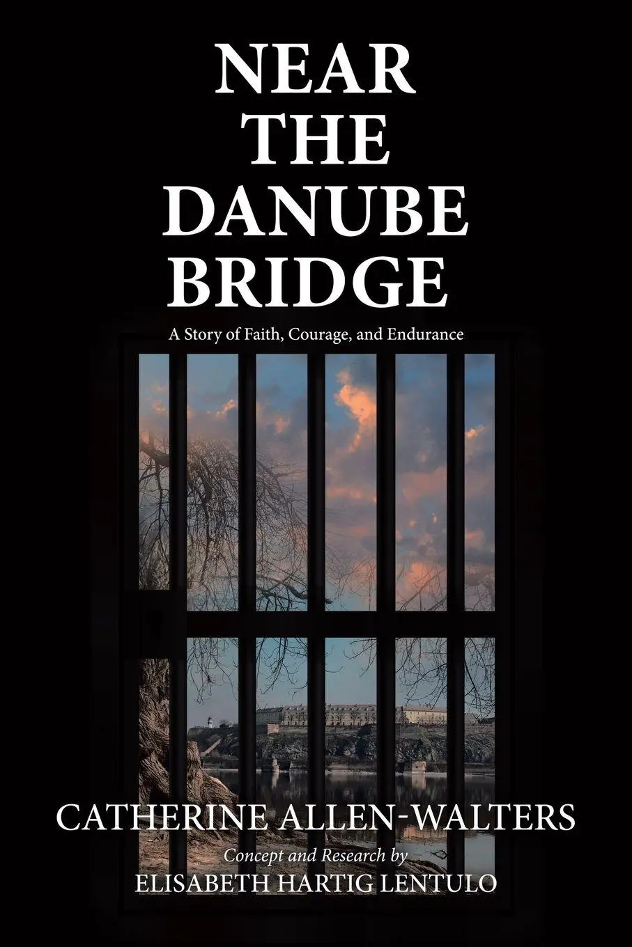 Cover: 9781665750516 | Near the Danube Bridge | A Story of Faith, Courage, and Endurance