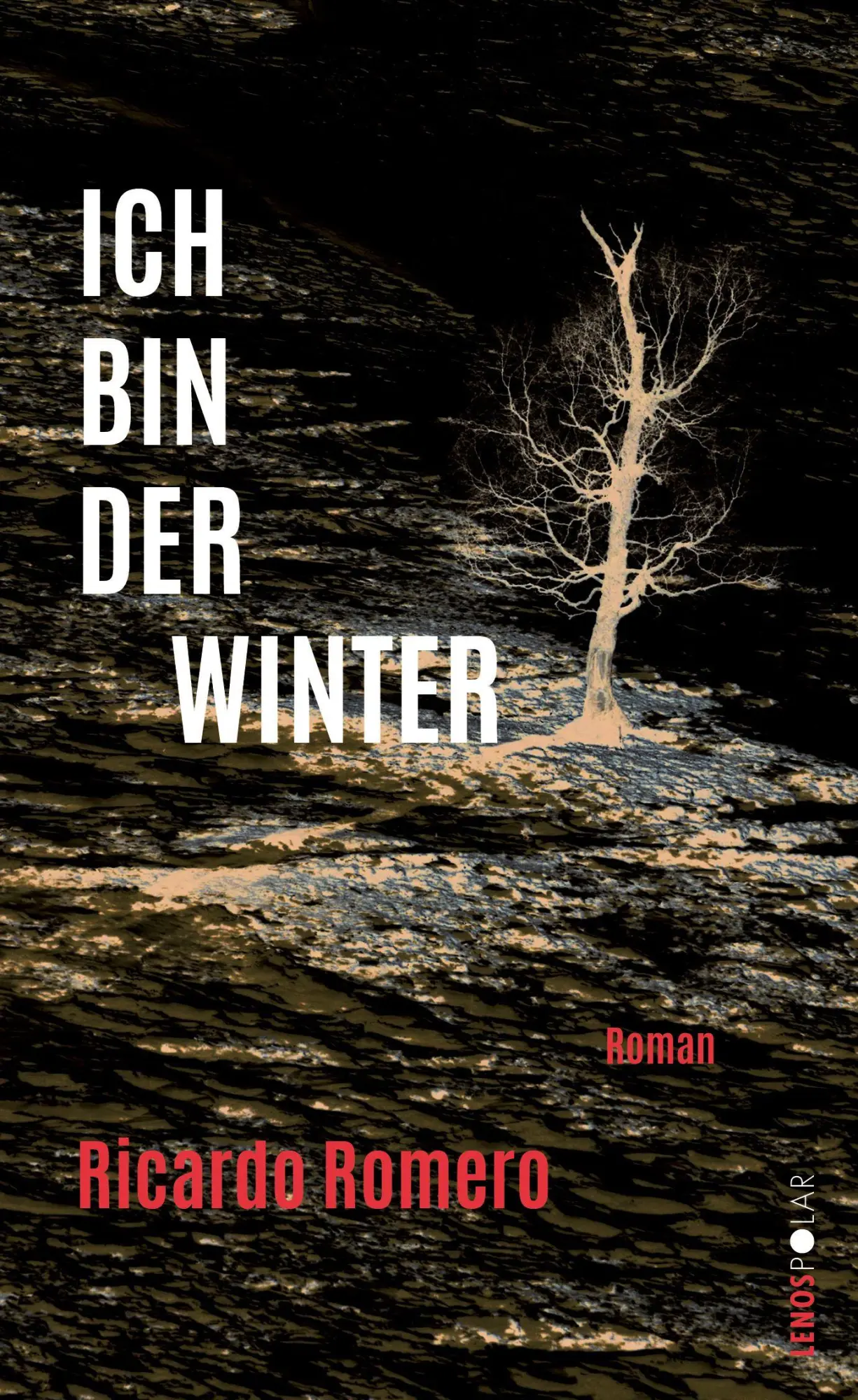 Cover: 9783039250516 | Ich bin der Winter | Roman | Ricardo Romero | Buch | Lenos Polar