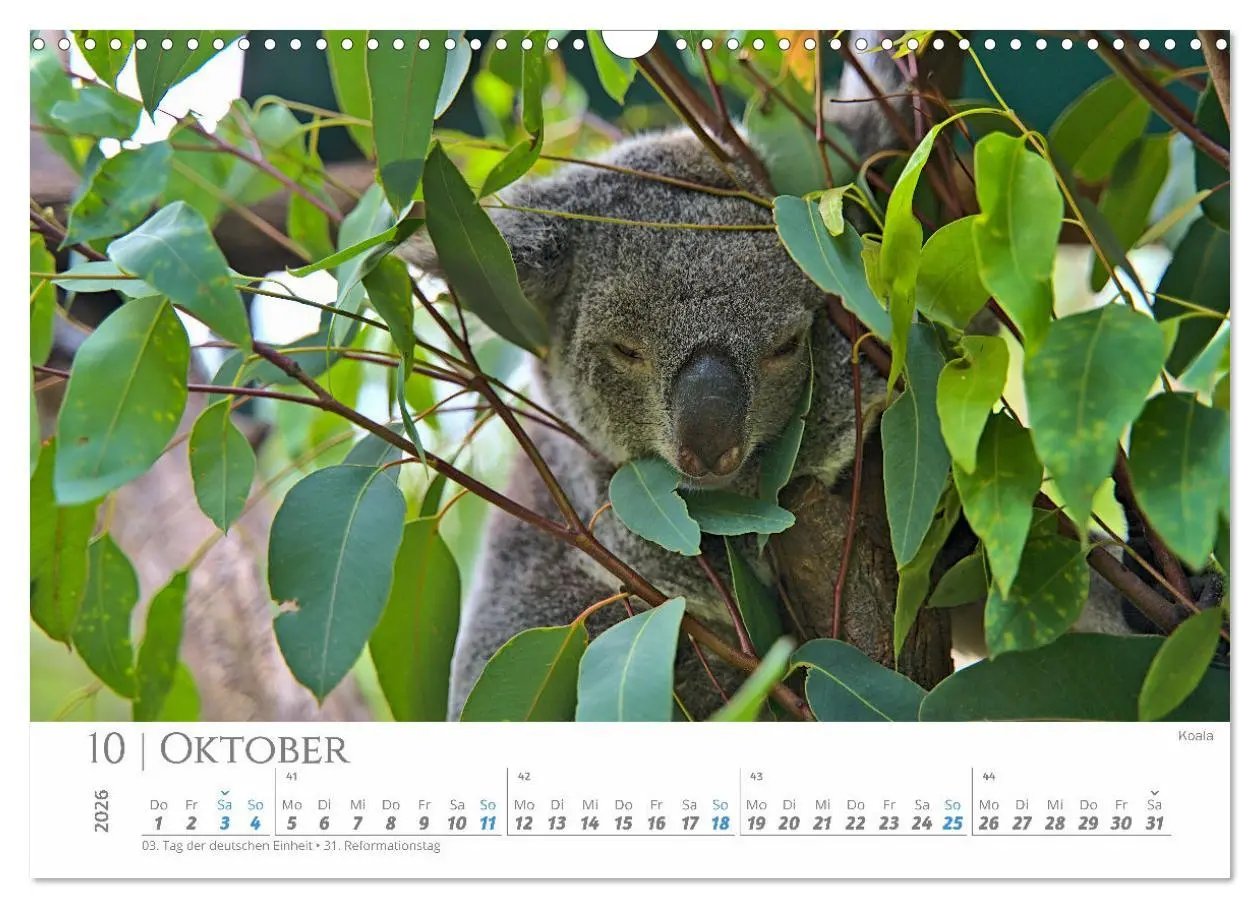 Bild: 9783457270516 | Australien - Highlights Ostküste (Wandkalender 2026 DIN A3 quer),...