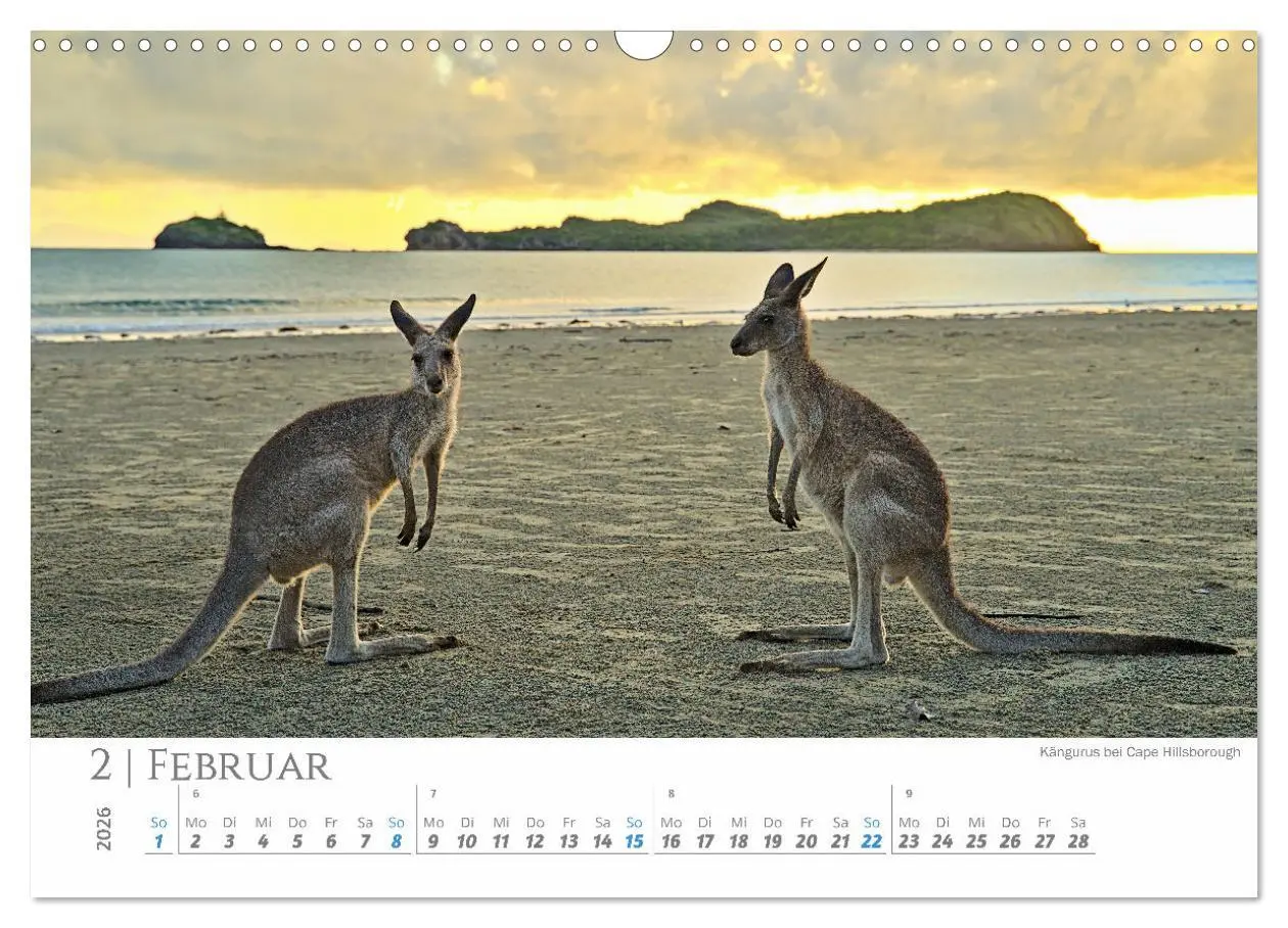 Bild: 9783457270516 | Australien - Highlights Ostküste (Wandkalender 2026 DIN A3 quer),...