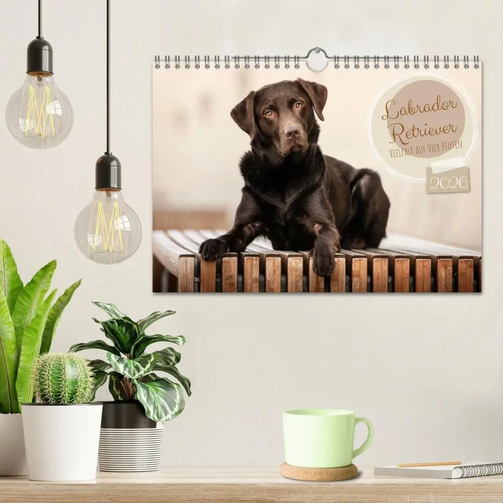 Bild: 9783457580516 | Labrador Retriever - Vielfalt auf Vier Pfoten (Wandkalender 2026...