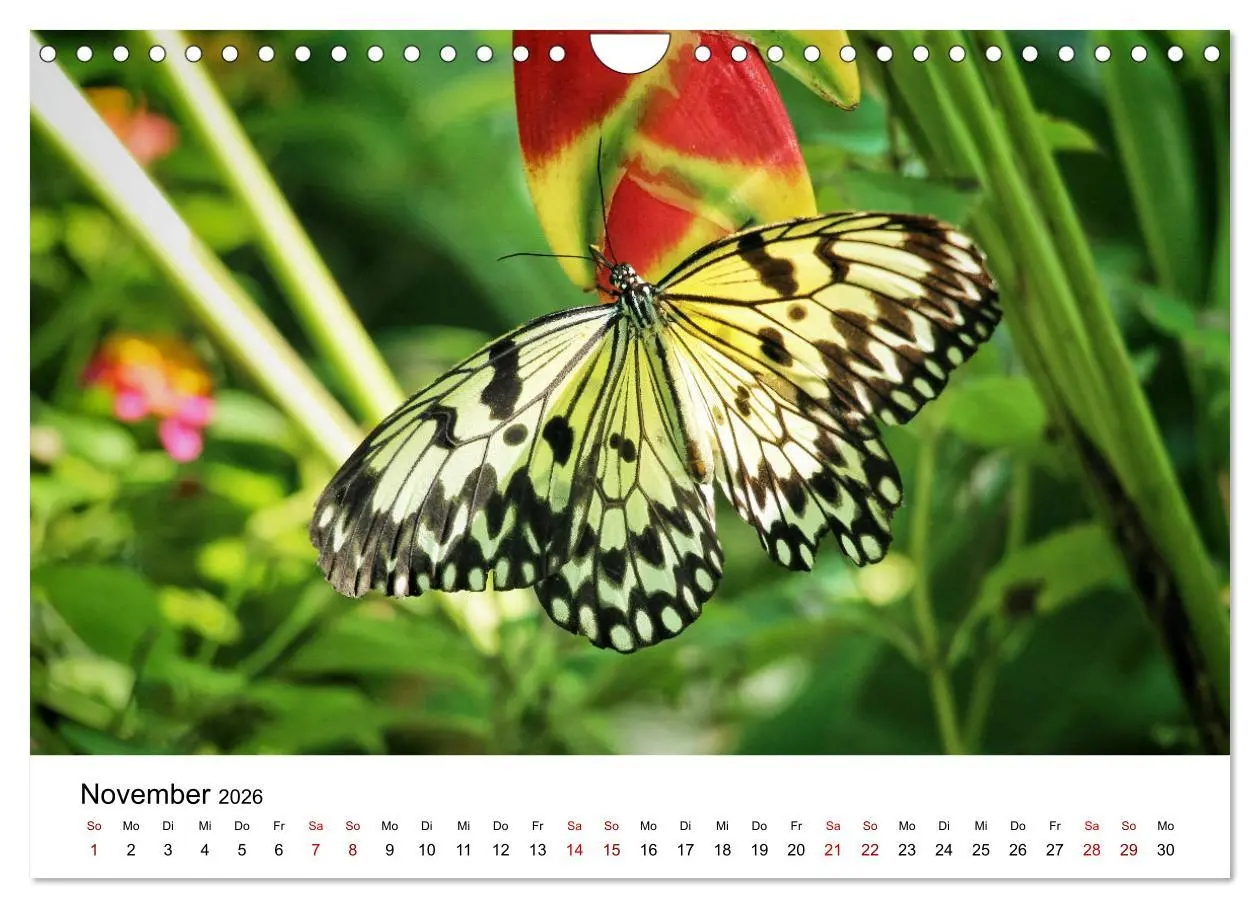 Bild: 9783457720516 | Philippinen - Faszinierende Inselwelten (Wandkalender 2026 DIN A4...