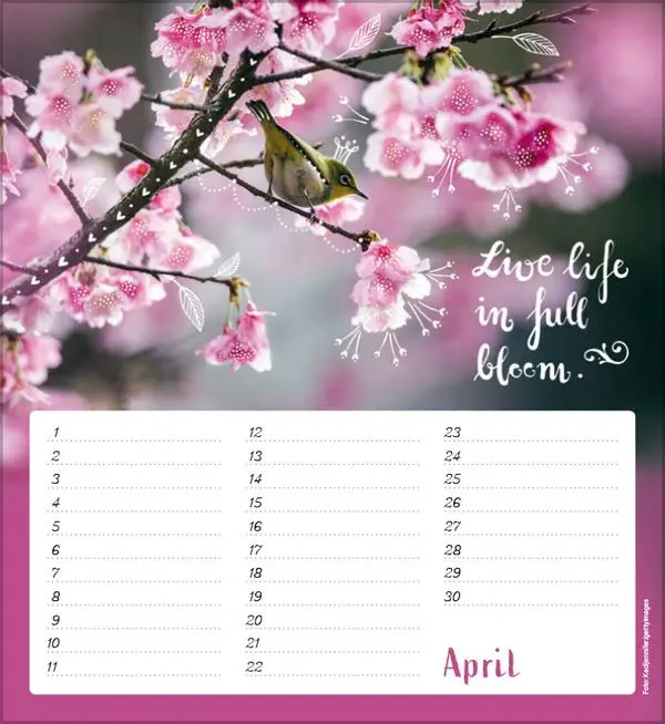 Bild: 9783731880516 | Geburtstagskalender Im herzen barfuß | Verlag Korsch | Kalender