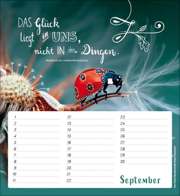 Bild: 9783731880516 | Geburtstagskalender Im herzen barfuß | Verlag Korsch | Kalender