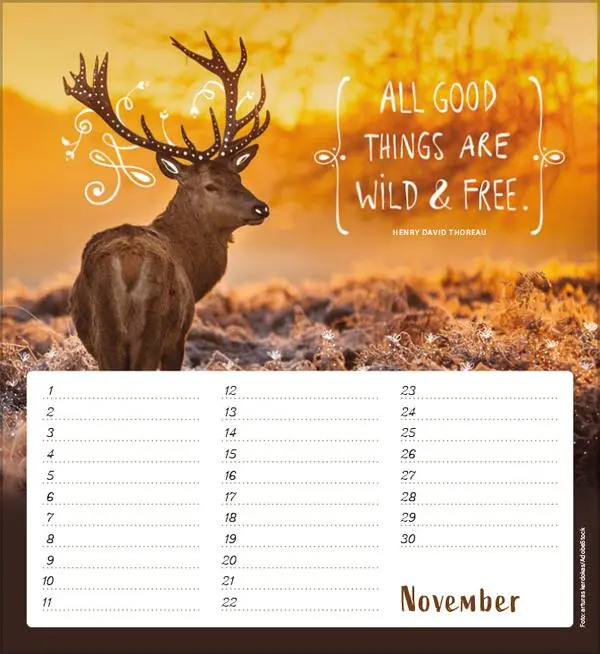 Bild: 9783731880516 | Geburtstagskalender Im herzen barfuß | Verlag Korsch | Kalender