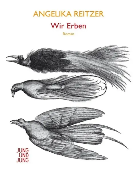 Cover: 9783990270516 | Wir Erben | Roman | Angelika Reitzer | Buch | 344 S. | Deutsch | 2014