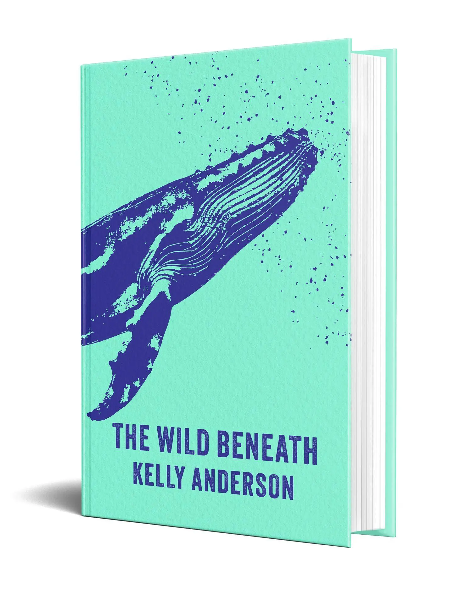 Bild: 9780008850616 | The Wild Beneath | Kelly Anderson | Buch | Englisch | 2026