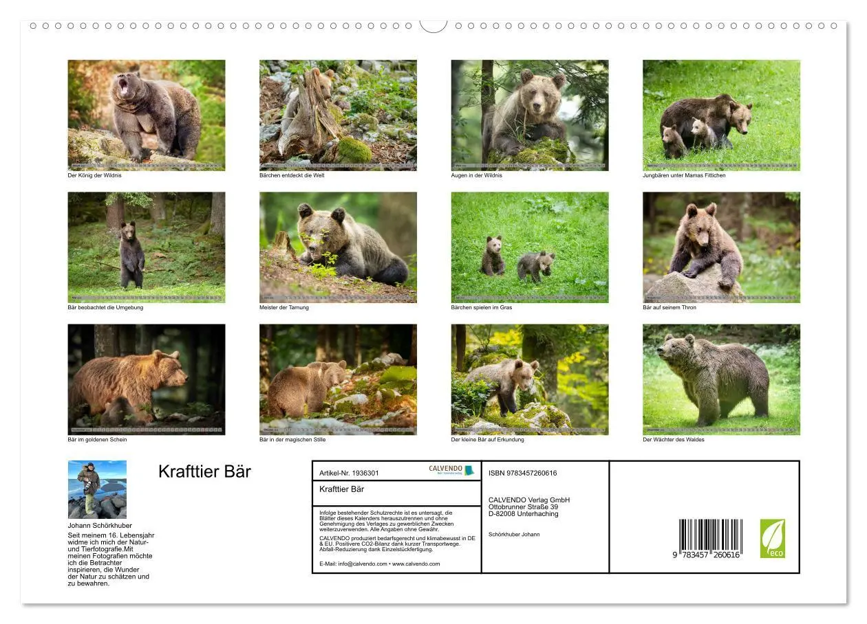 Bild: 9783457260616 | Krafttier Bär (hochwertiger Premium Wandkalender 2026 DIN A2 quer),...