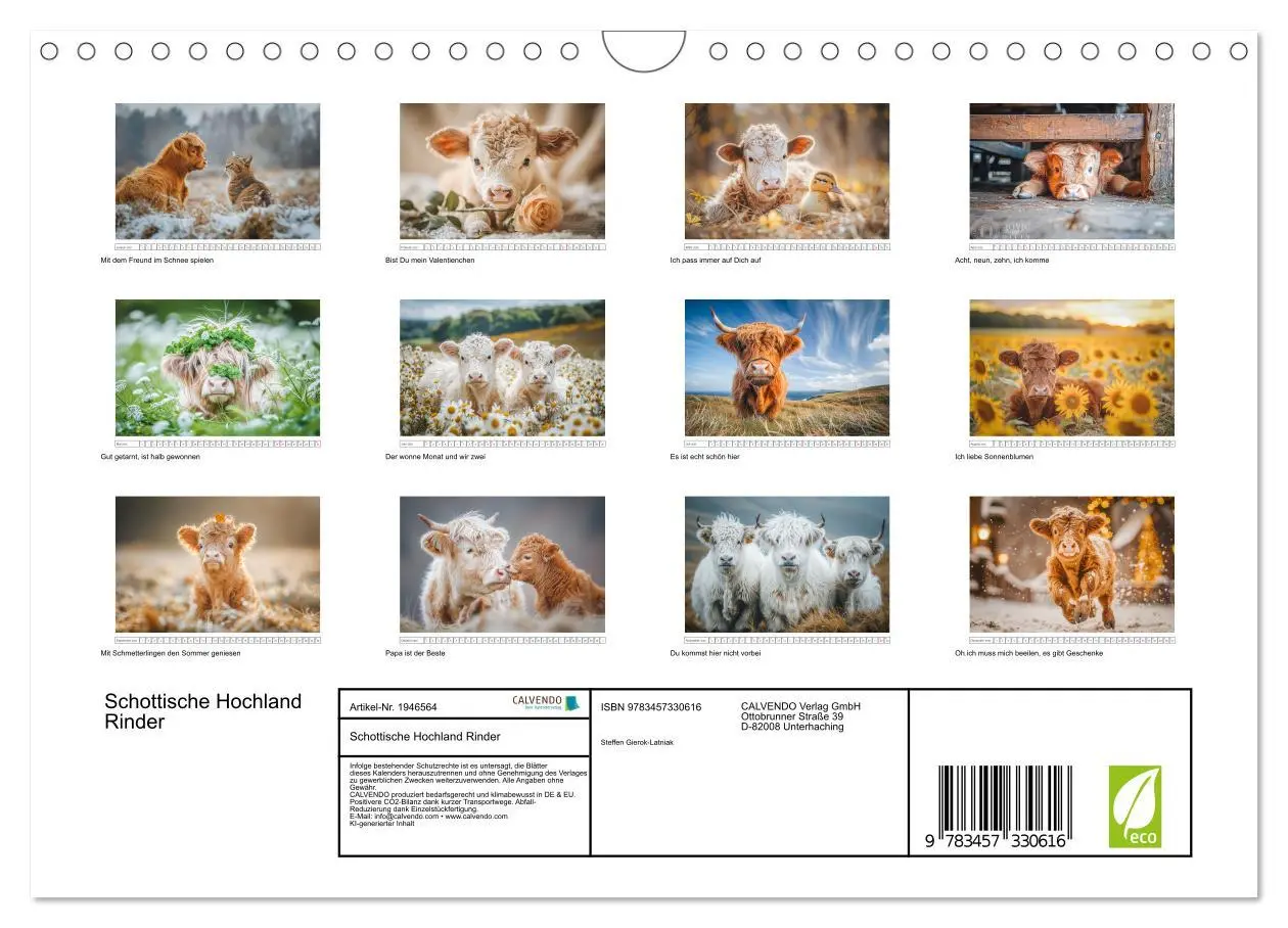 Bild: 9783457330616 | Schottische Hochland Rinder (Wandkalender 2026 DIN A4 quer),...