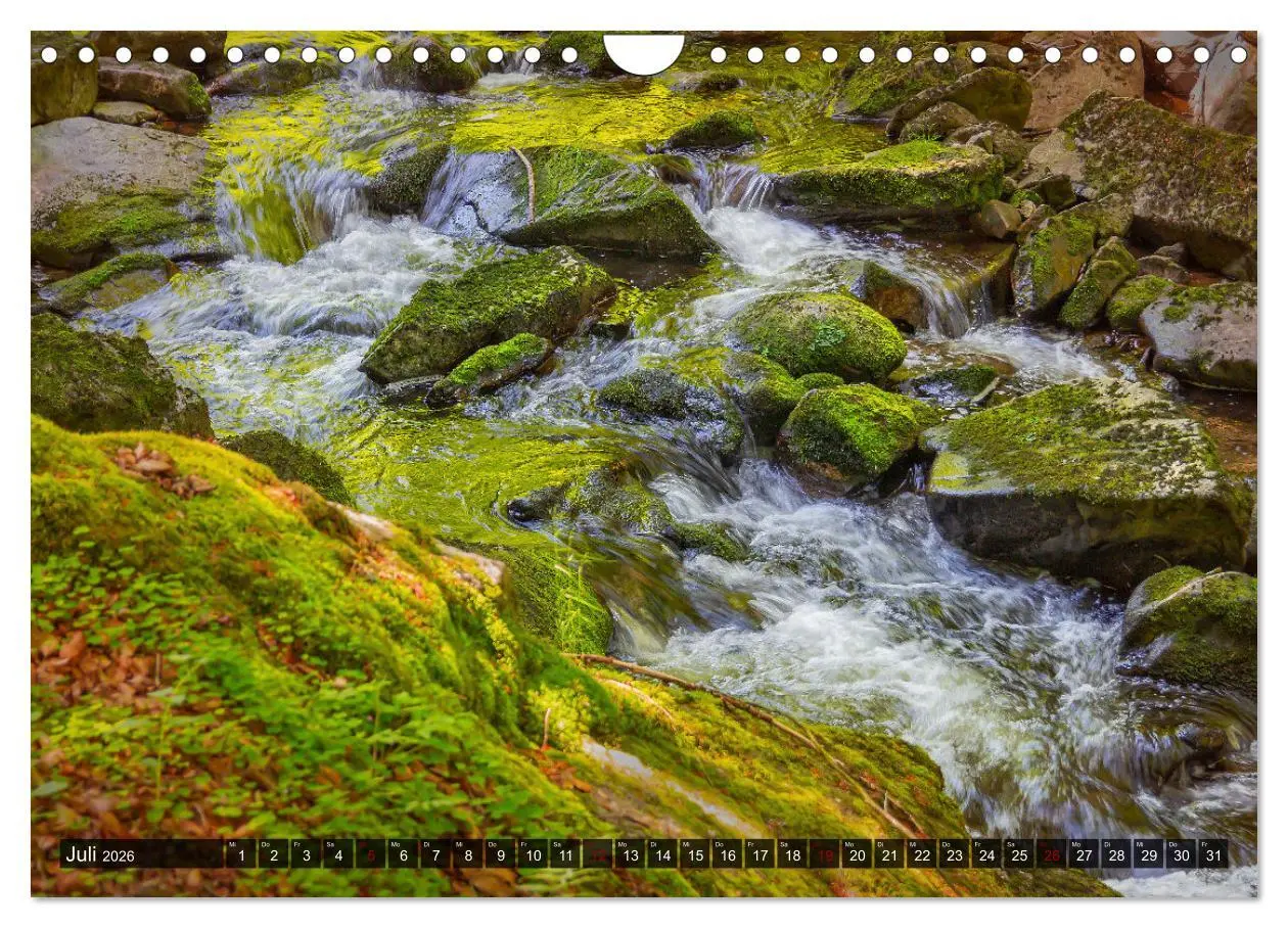 Bild: 9783457640616 | Bewegtes Wasser (Wandkalender 2026 DIN A4 quer), CALVENDO...