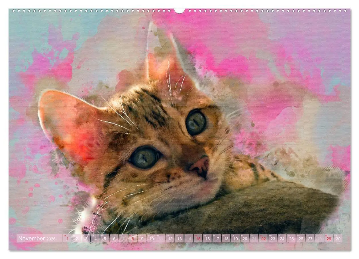 Bild: 9783457880616 | Katzenkalender mausgemalt (Wandkalender 2026 DIN A2 quer), CALVENDO...