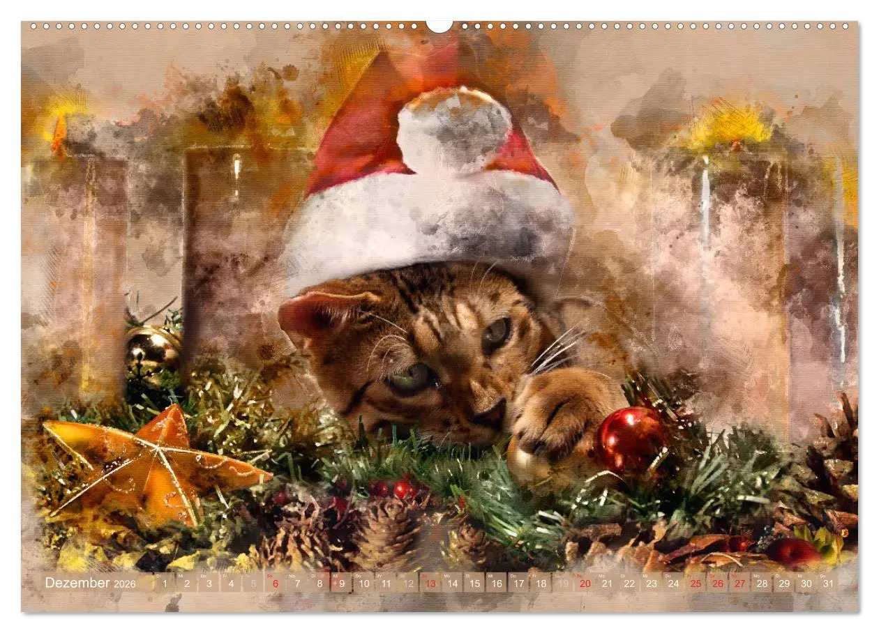 Bild: 9783457880616 | Katzenkalender mausgemalt (Wandkalender 2026 DIN A2 quer), CALVENDO...