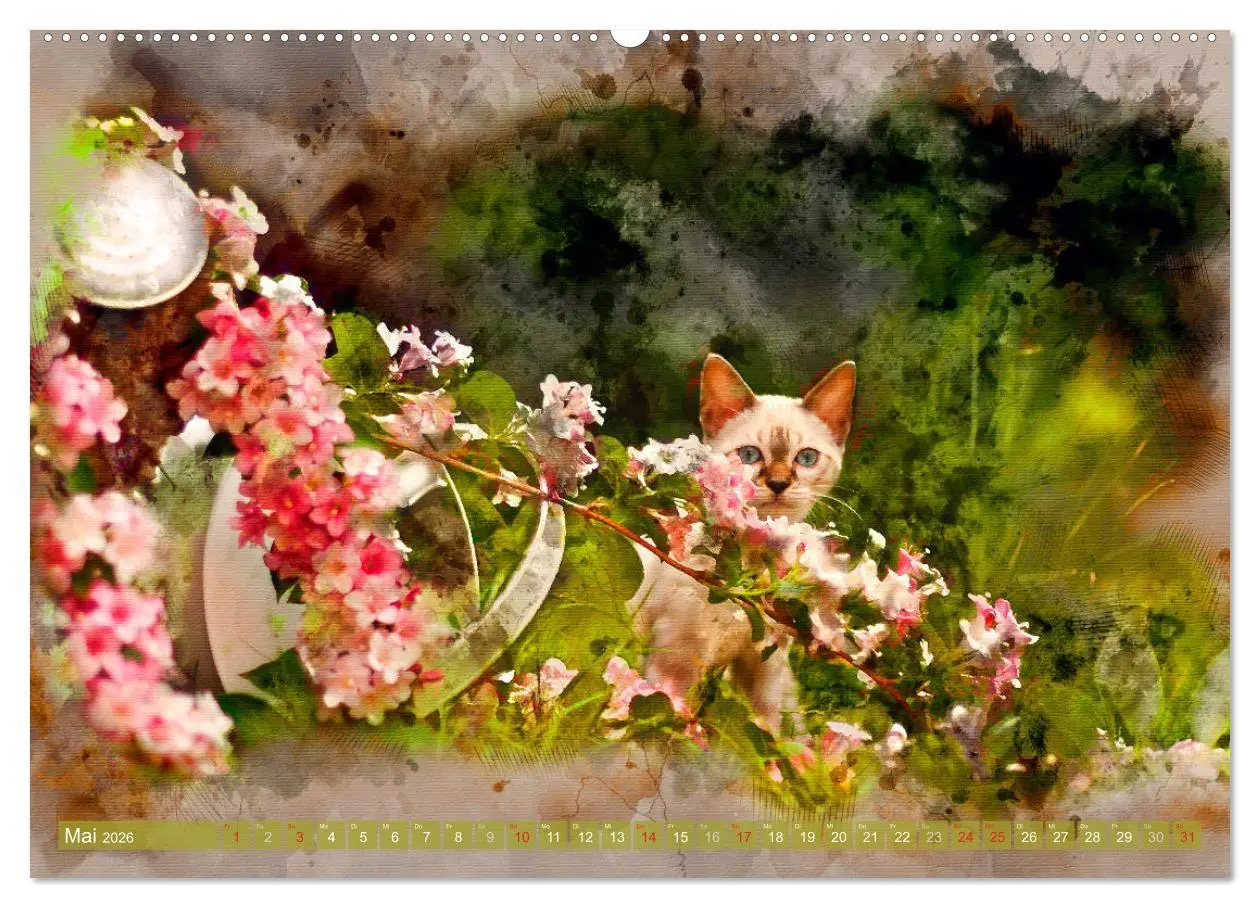 Bild: 9783457880616 | Katzenkalender mausgemalt (Wandkalender 2026 DIN A2 quer), CALVENDO...