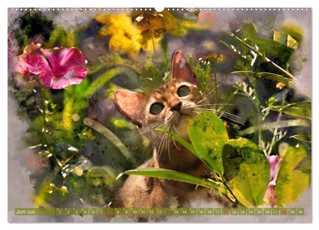Bild: 9783457880616 | Katzenkalender mausgemalt (Wandkalender 2026 DIN A2 quer), CALVENDO...